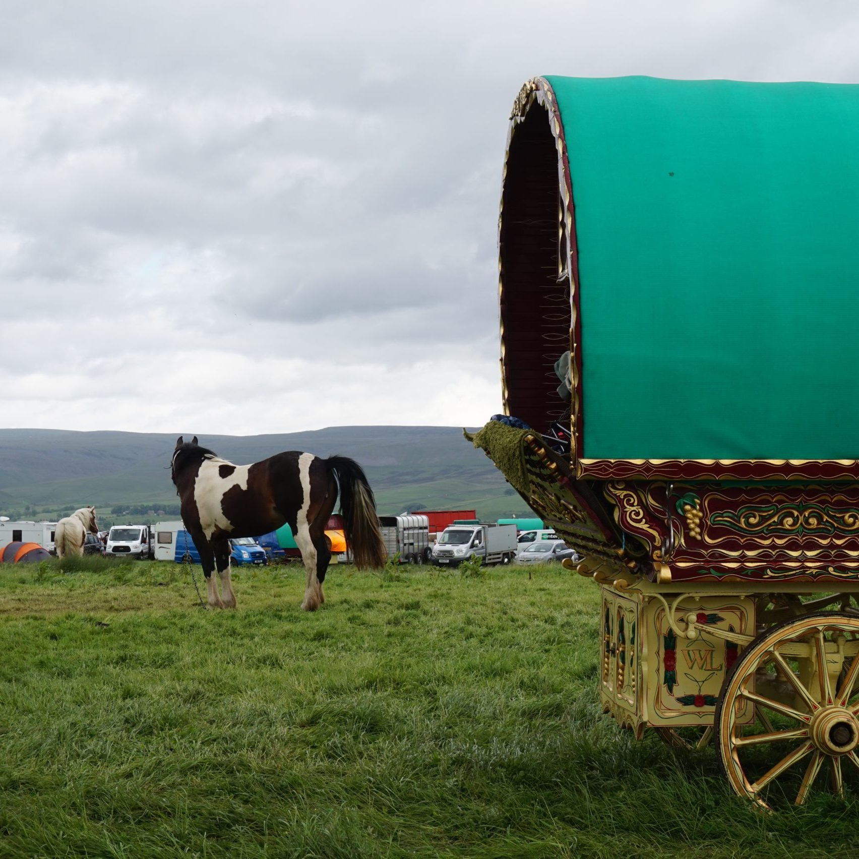 A vardo and horse at Appleby Fair, 2022